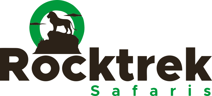 Agent Logo