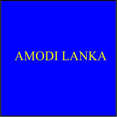 Travel Agent - Amodi Lanka Tours & Travel Agency