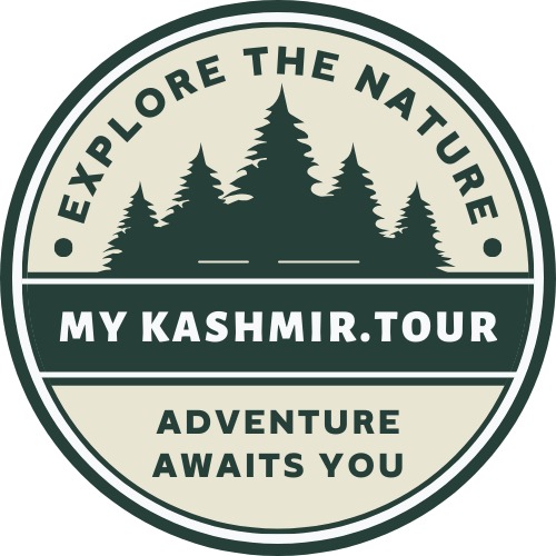 Mykashmir.tour