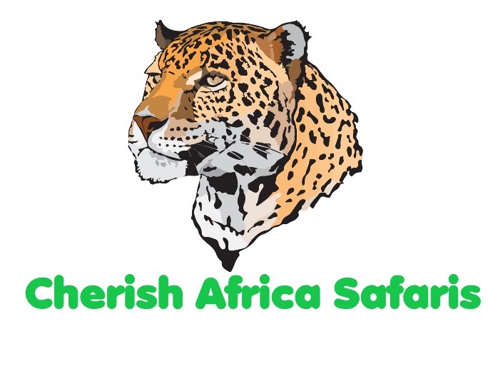 Cherish Africa Safaris